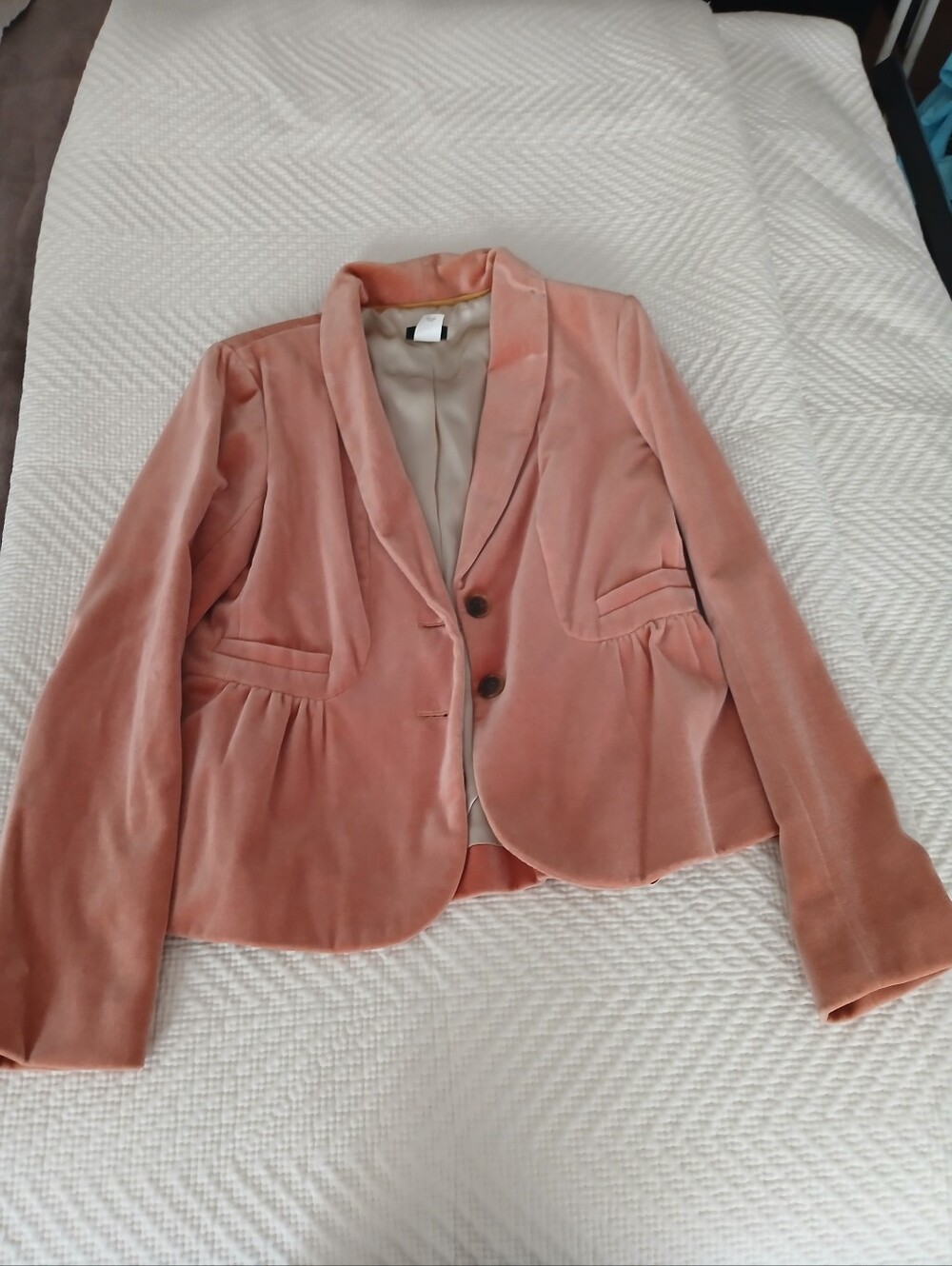 J. Crew Pink Velvet Blazer